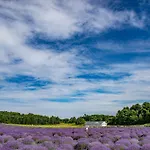 H Studio Close To Downtown, Beaches And Wineries