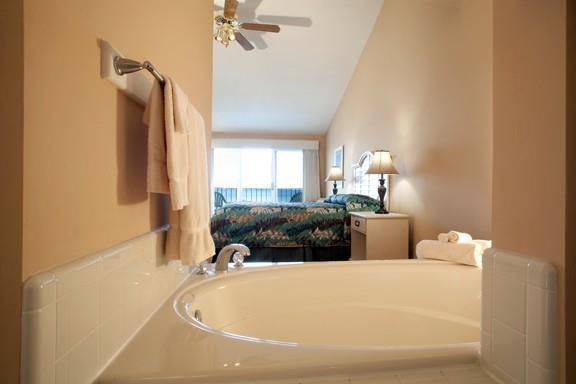Pointes North Beachfront 3* Traverse City
