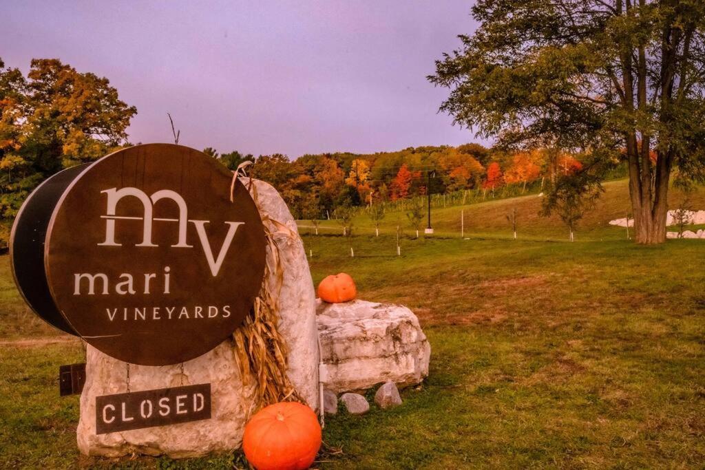 Apartment Fun & Trendy Close To Downtown And The Traverse City