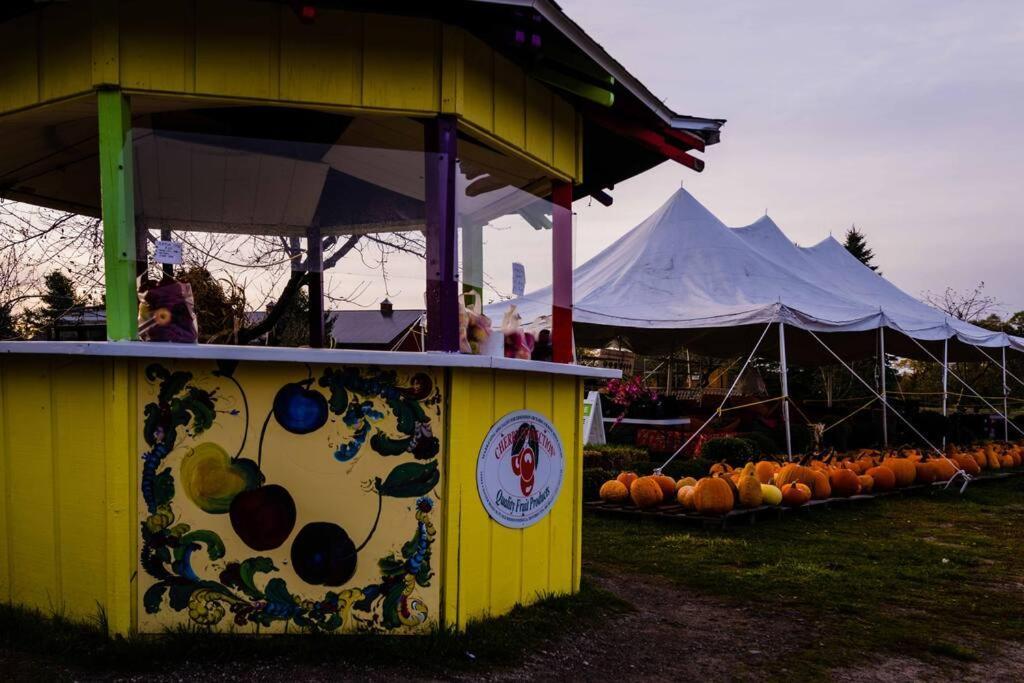 Fun & Trendy Close To Downtown And The * Traverse City
