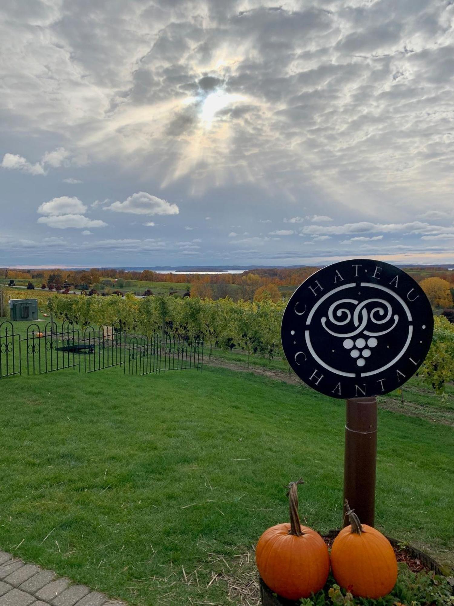 Perch With Rooftop Terrace & Hot Tubs Near Downtown * Traverse City