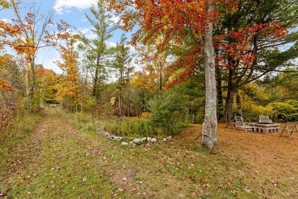 Long Escape, Modern 3 Bedroom, Lower Unit Of Duplex Home, Minutes To Downtown Traverse *