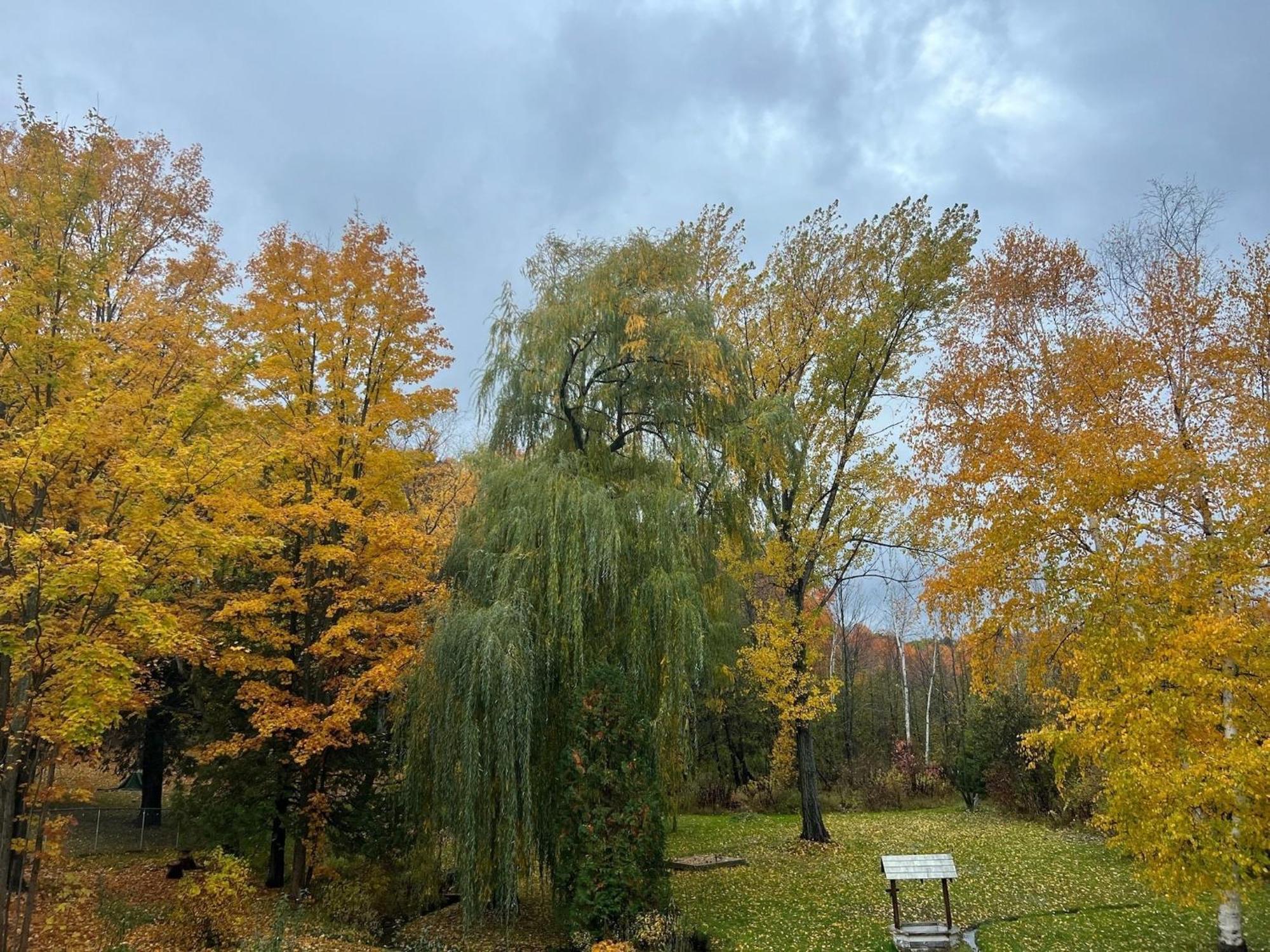 Holiday home Charming 3bdr Oasis In Sw Bay Shore - 6238 Traverse City