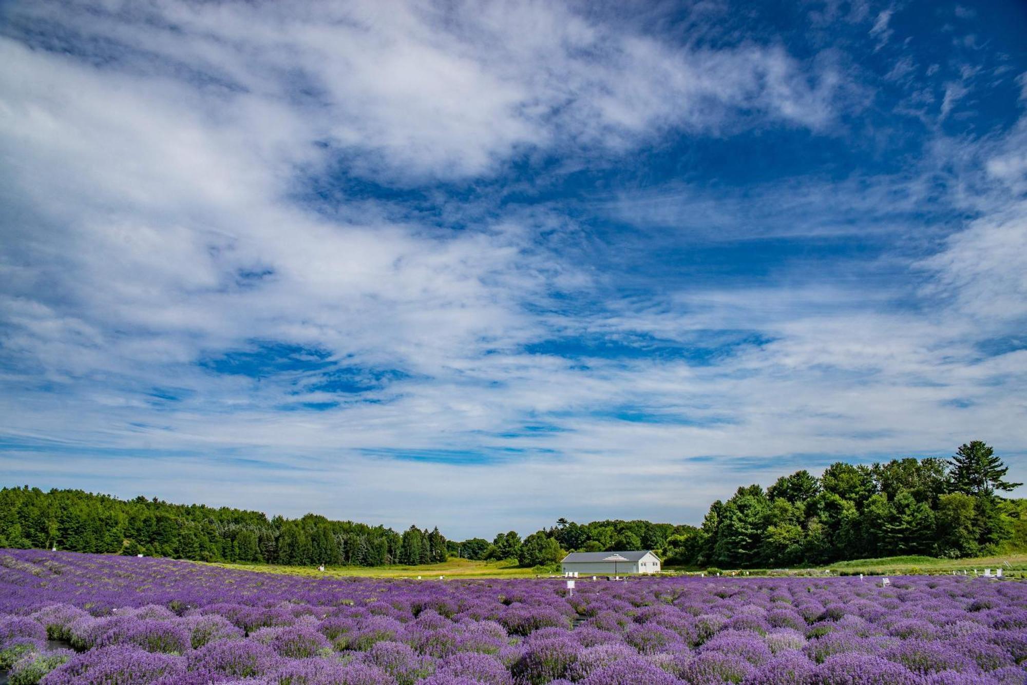 H Close To Downtown, Beaches And Wineries