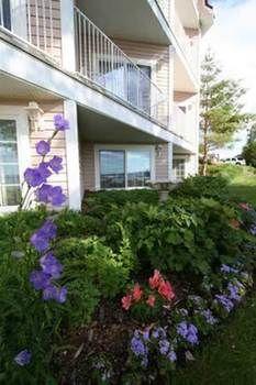Bayshore 3* Traverse City