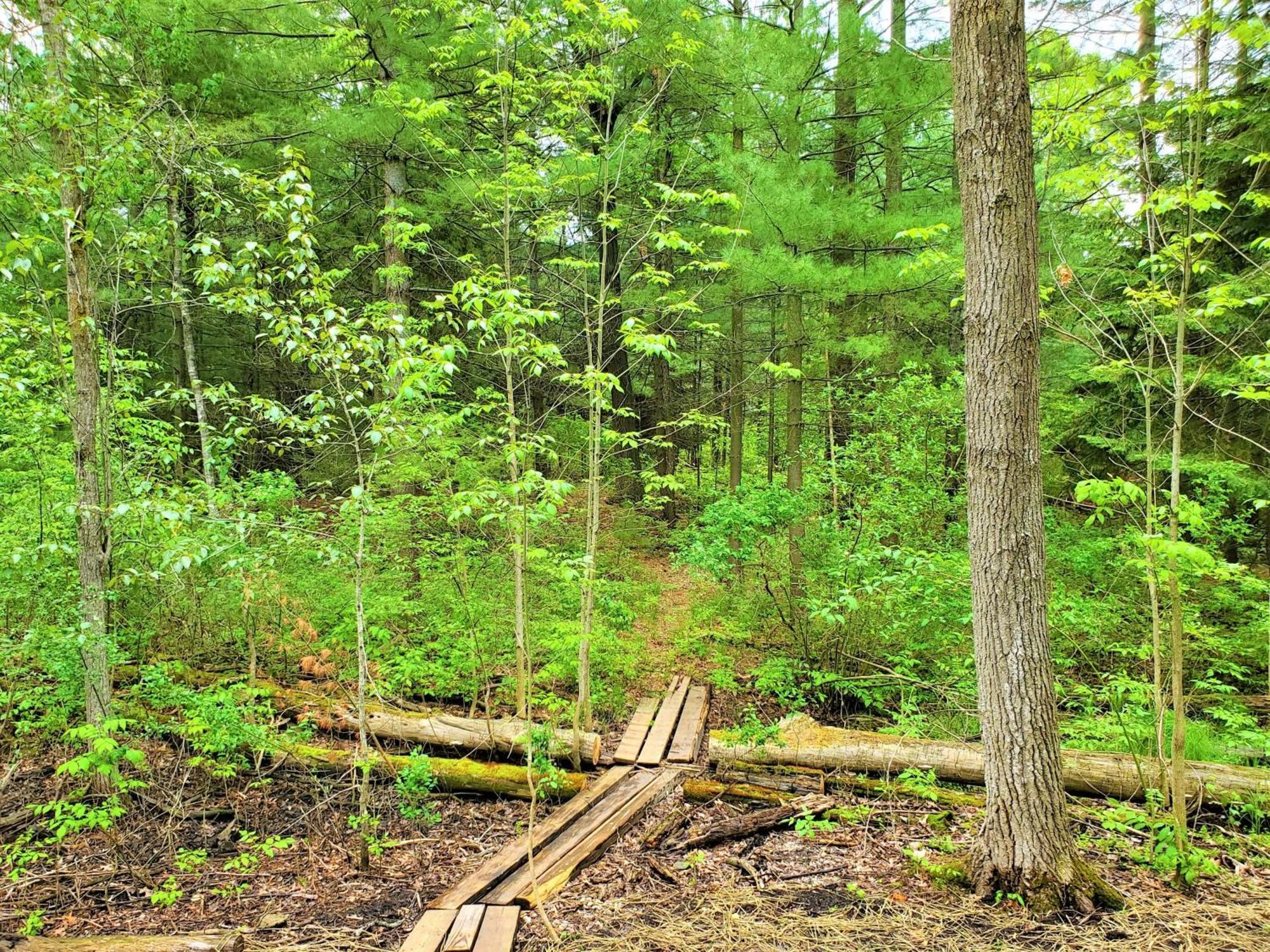 Steps To Beach-hot Tub-fireplace-northern Original Chalet Traverse City